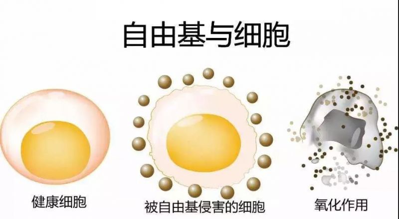 安格安晴告诉你，为什么眼睛容易衰老(图3)