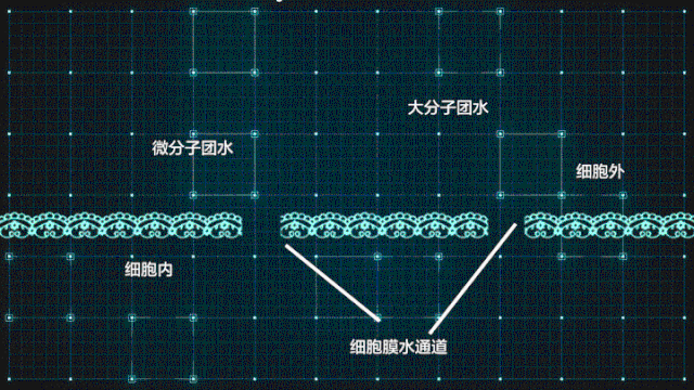 小知识| 眼精华和眼霜的区别(图3)