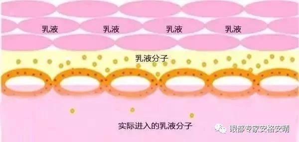小知识| 眼精华和眼霜的区别(图4)