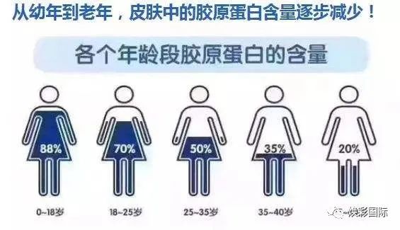 【焕彩国际】胶原蛋白对皮肤的意义和作用(图2)