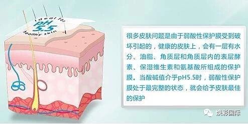 美容必修课 | 皮肤生理学(图8)