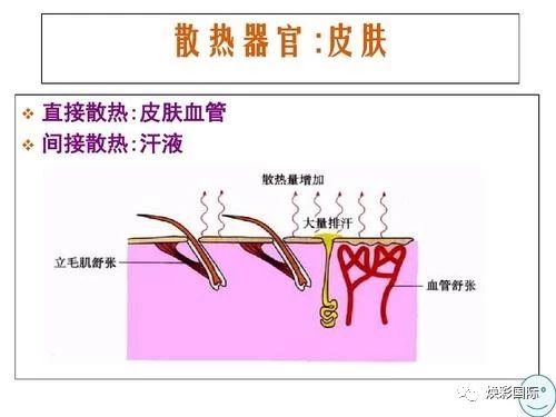 美容必修课 | 皮肤生理学(图12)