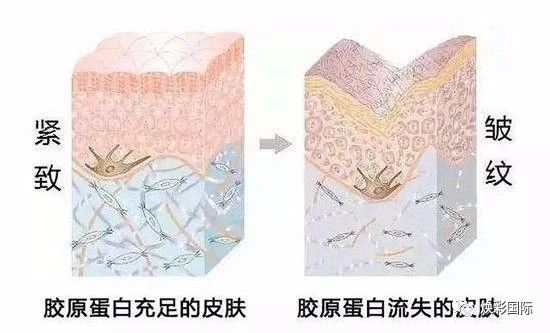 精萃修护眼部精华素 | 由内而外密集修护眼周肌(图1)