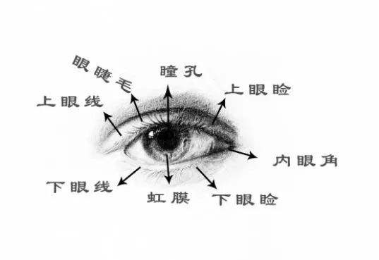 眼健康|眼睛为什么会自己流泪(图1)